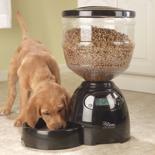 Petmate Le Bistro Programmable Pet Feeder by Gadget Flow Gadget