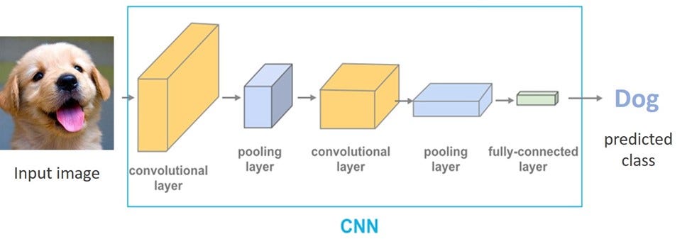 Dog Breed recognition using Deep Learning | by Alireza Khaksari | Jun ...