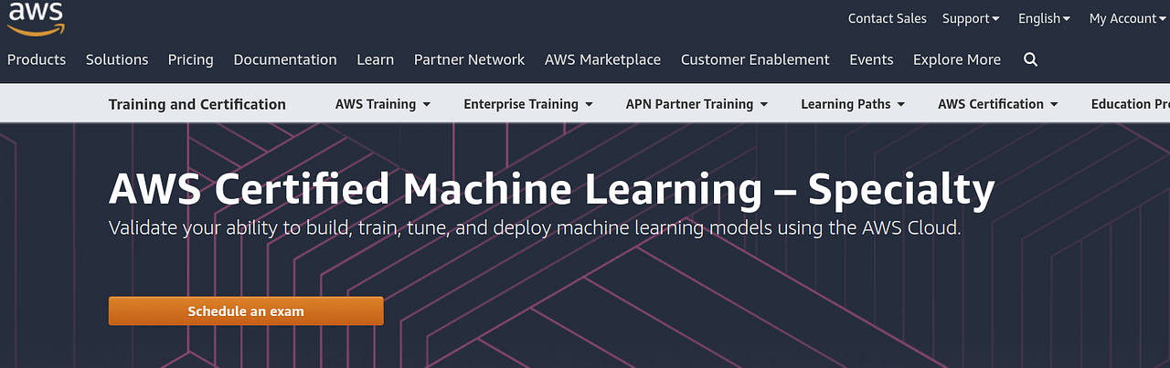 AWS-Certified-Machine-Learning-Specialty Exam