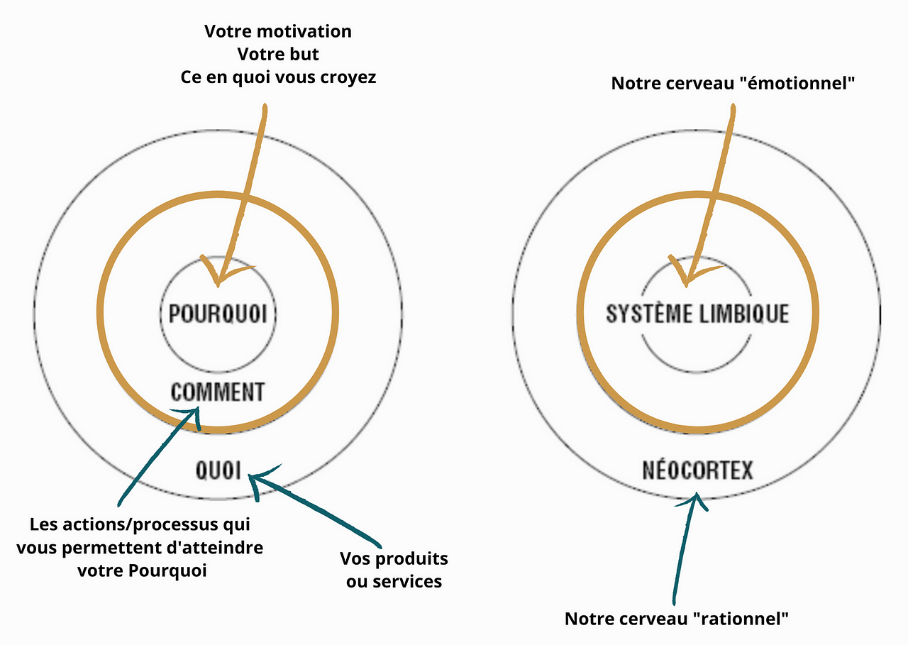Pourquoi ne pas lire “Commencer par le pourquoi“ de Simon Sinek ? | by