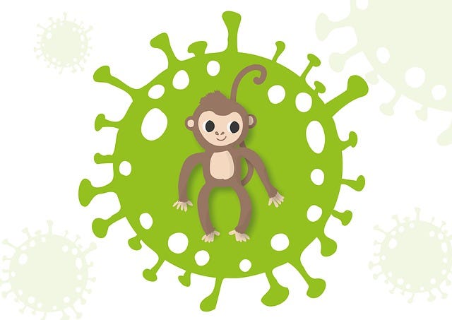 What Is Monkey Pox Virus: What You Need To Know?