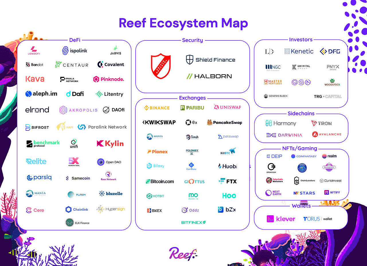 The Reef Chain is expanding rapidly — Reef Ecosystem Map ...