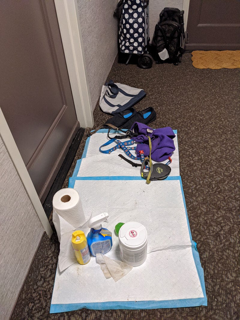 Vivian murray essay 02 picture