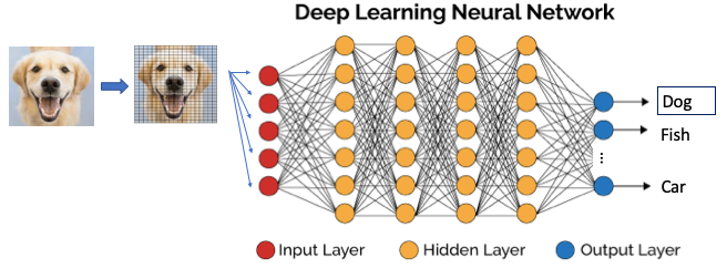 What Is Image Recognition? | by Dr. Dataman | Dataman in AI | Medium
