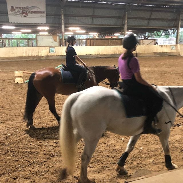 Horse Riding Lessons l Horse Riding Gold Coast l Gold Coast Equestrian