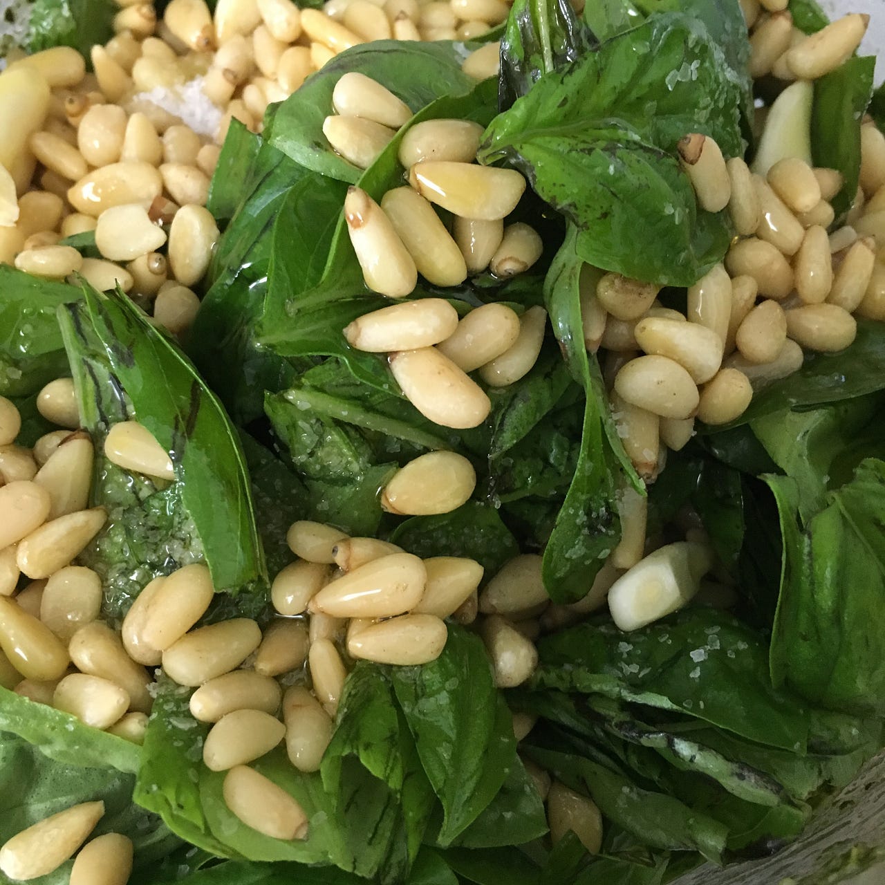 Fix My Bitter Pesto A Solution to a Common Problem by Laura White