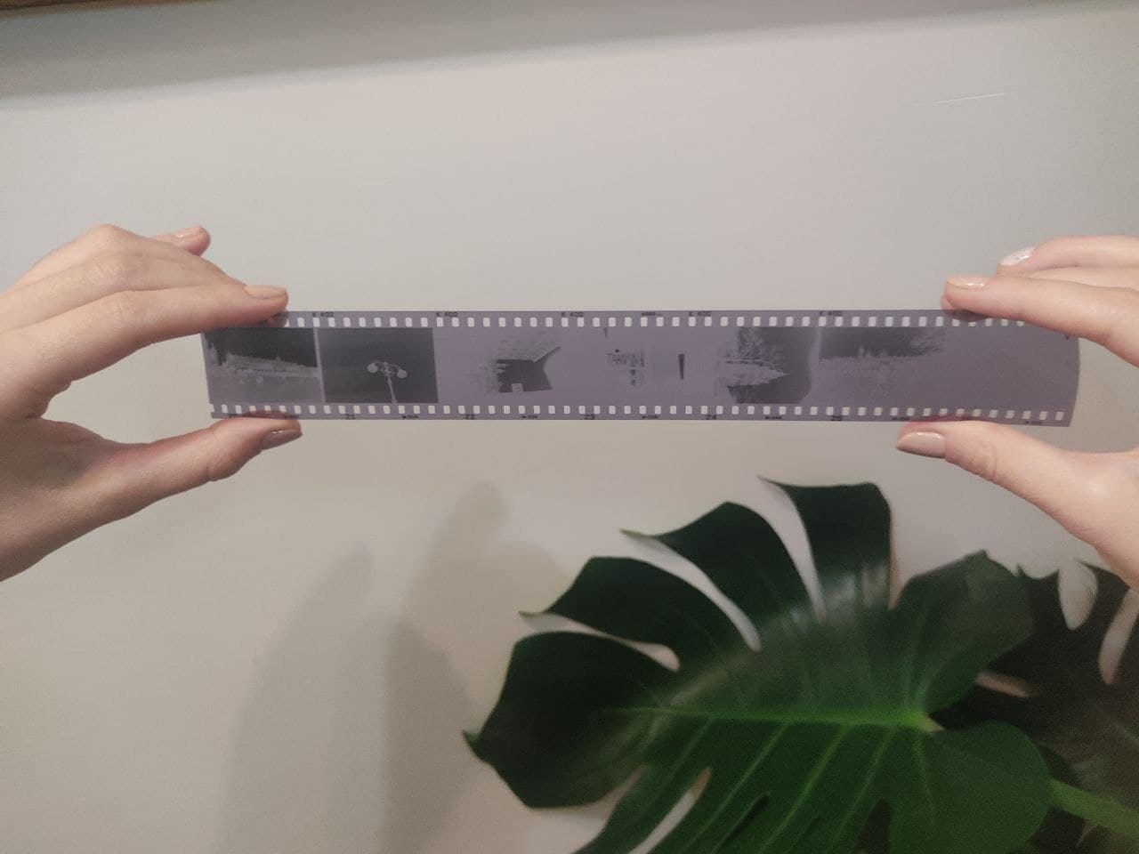 Analogue/Film Photography 101 Types of Films by Fatma Edemen Photo