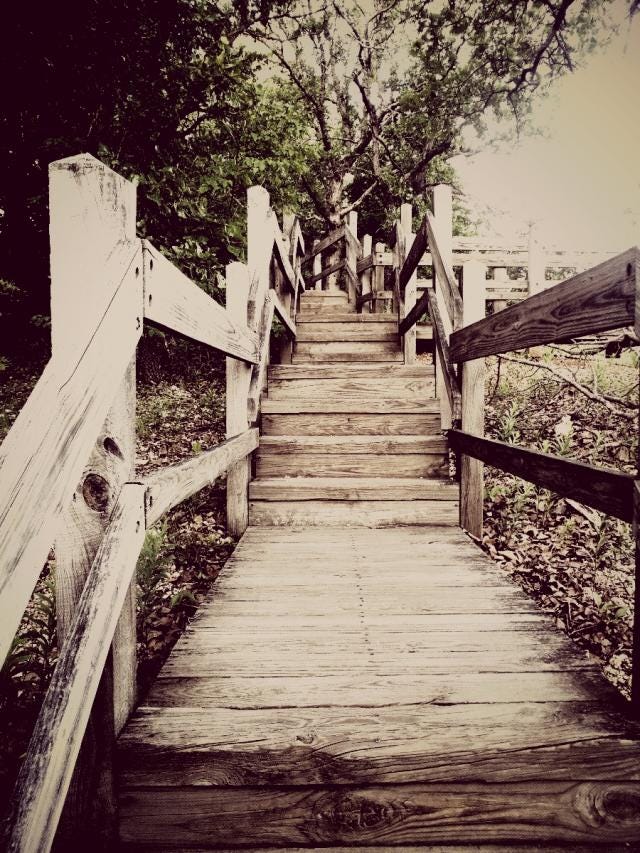 Wooden steps at a park