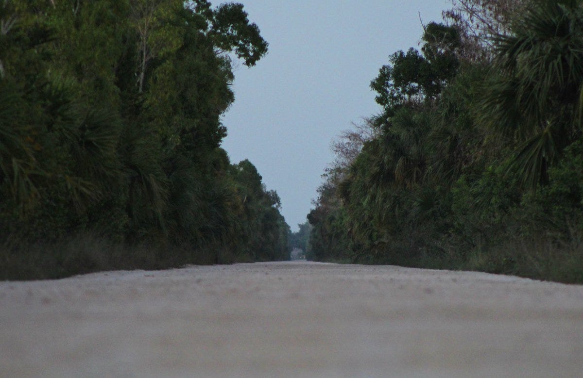 Tips for Everglades/Big Cypress stargazing (what to bring + where to go ...