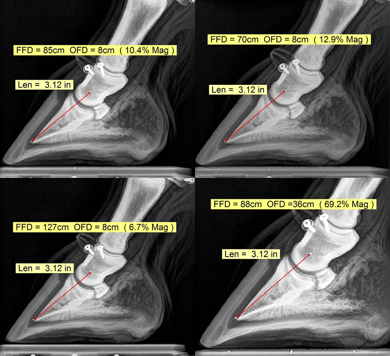 Measuring the Equine Hoof in Radiographs — a Focus on Calibration by