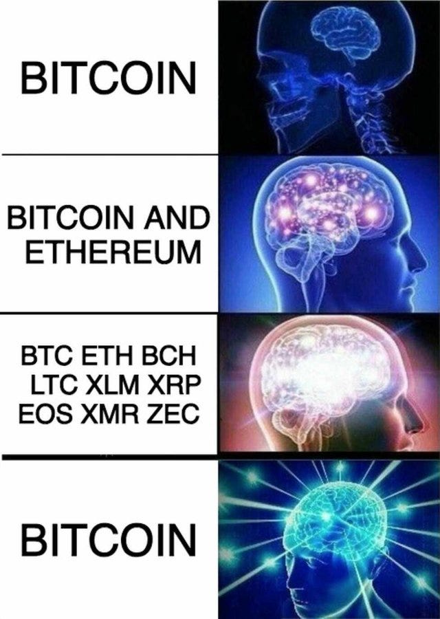 bitcoin brain damage