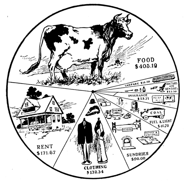 Evolution Man Chart And The Scientific Facts