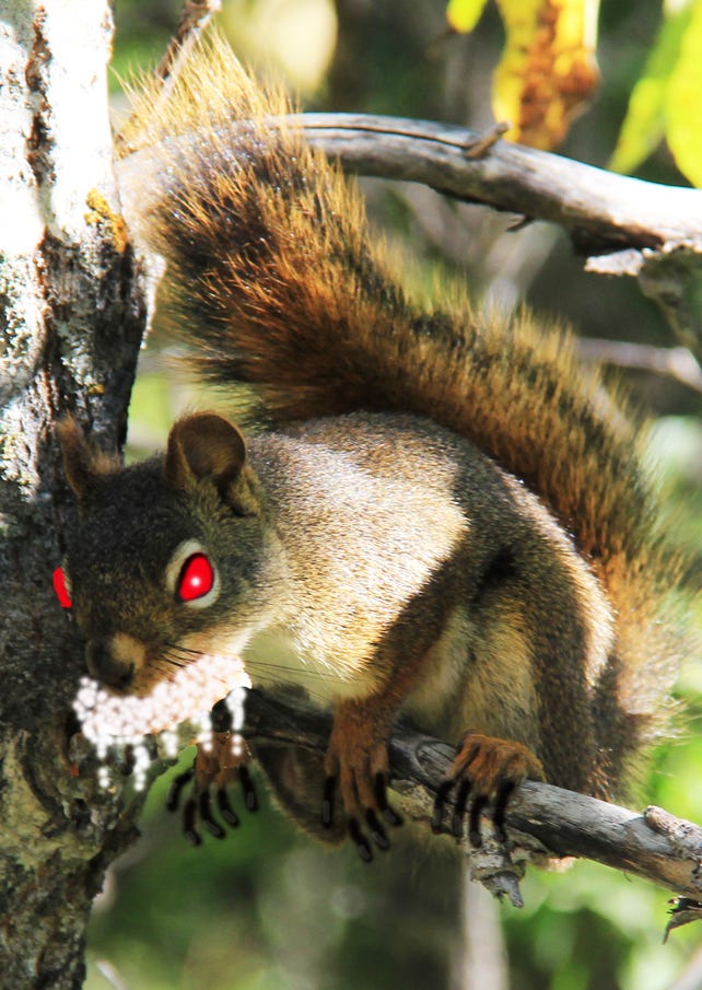 (Don’t) Vote Rabid Squirrel 2020! by Michael Compton Medium