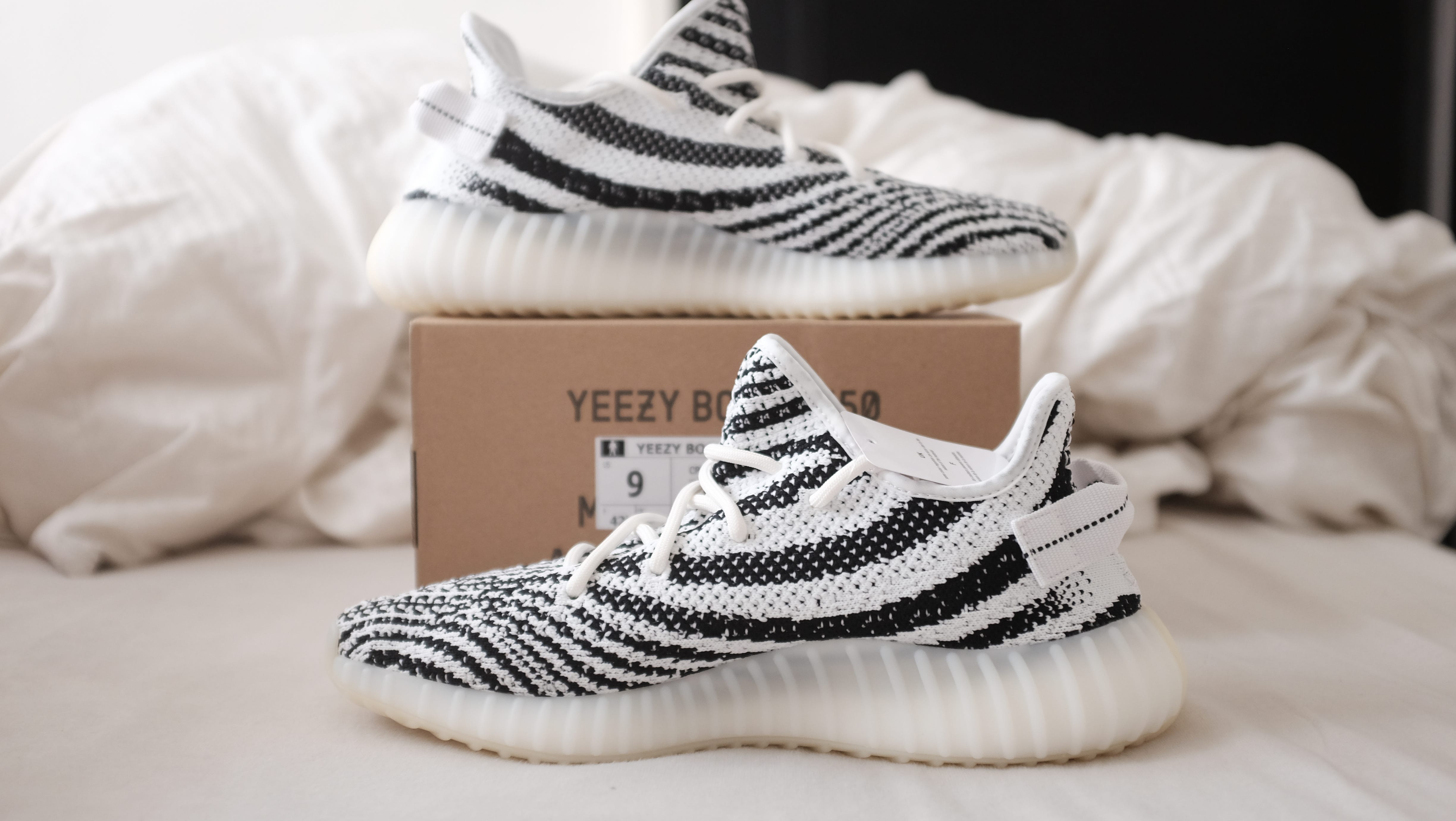 yeezy zebra back heel