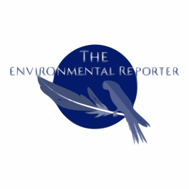 O Christmas Tree, Toxic Christmas Tree! by Kollibri terre Sonnenblume