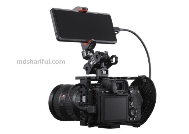 Sony Alpha 1 Review