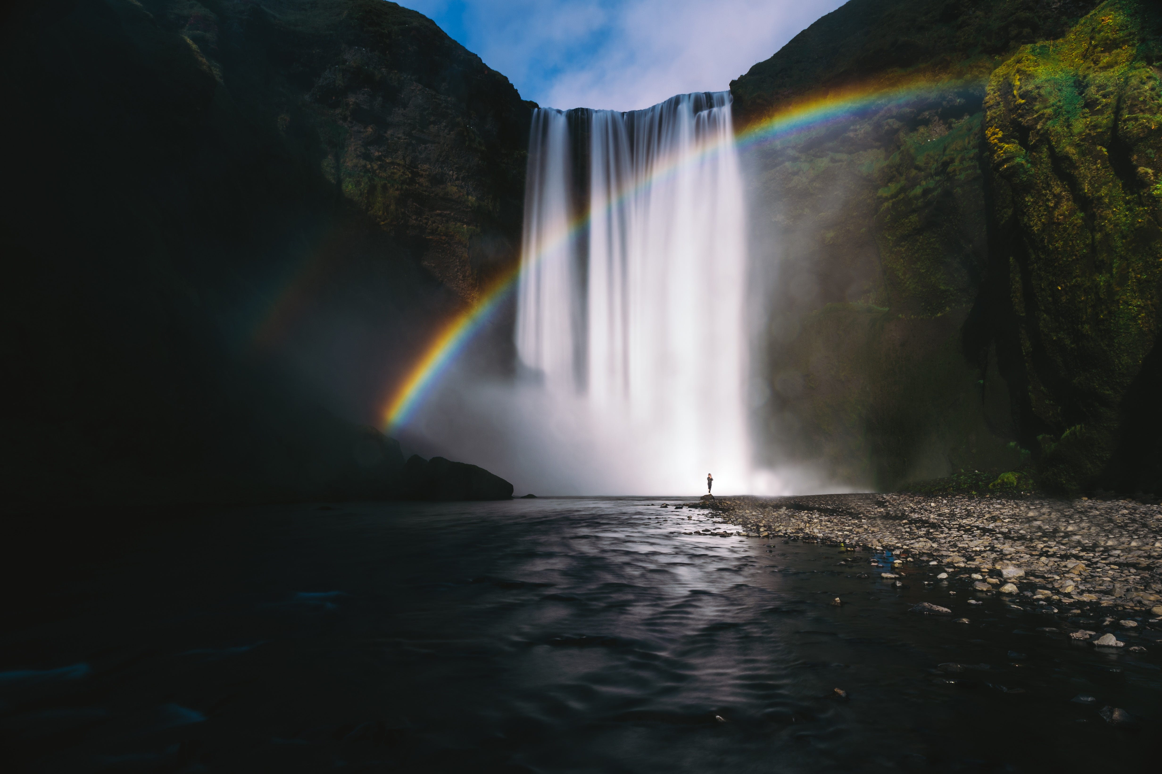 One Buddha is Not Enough: A Story of Collective Awakening