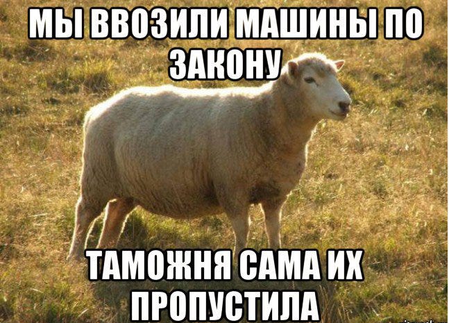 Как растаможить армянскую машину