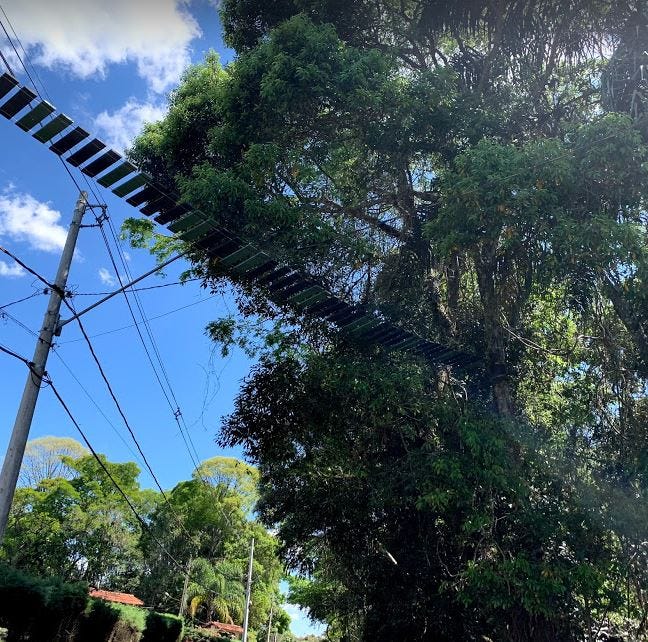 A Associação Encosta de Sol constructed a sky crossing to assist wild animals in crossing a road in Itatiba, Brazil. The sky