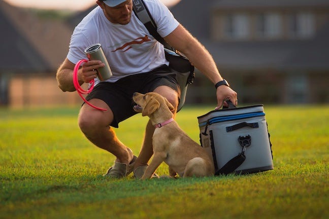 academy dog crates