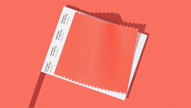 Pantone 161546 Living Coral Pantone Color Of The Year 2019 By