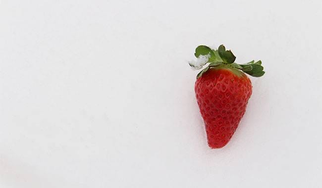 How to winter strawberry plants Planting for tips