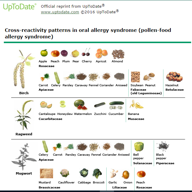 Allergy Syndrome Food Chart