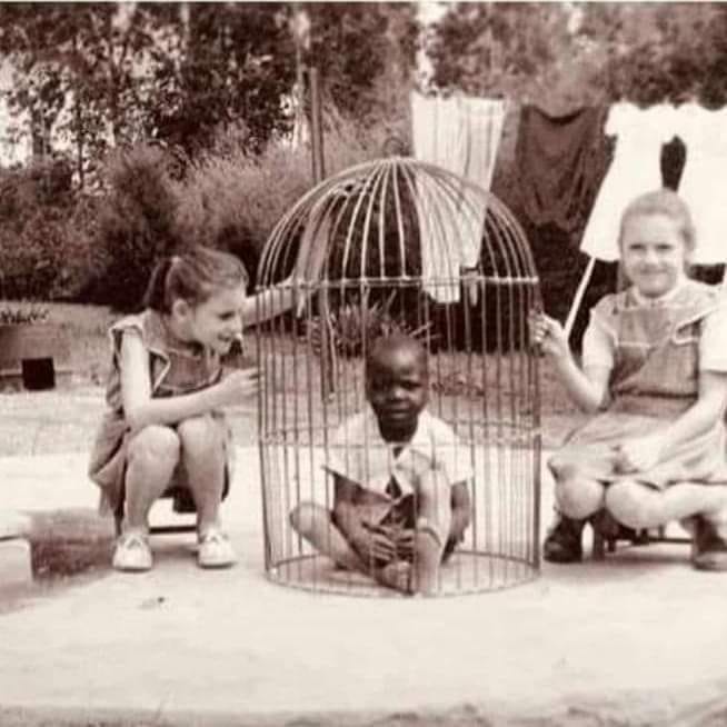 The Black Boy Who Was Showcased in a Zoo Cage | by Andrei ...