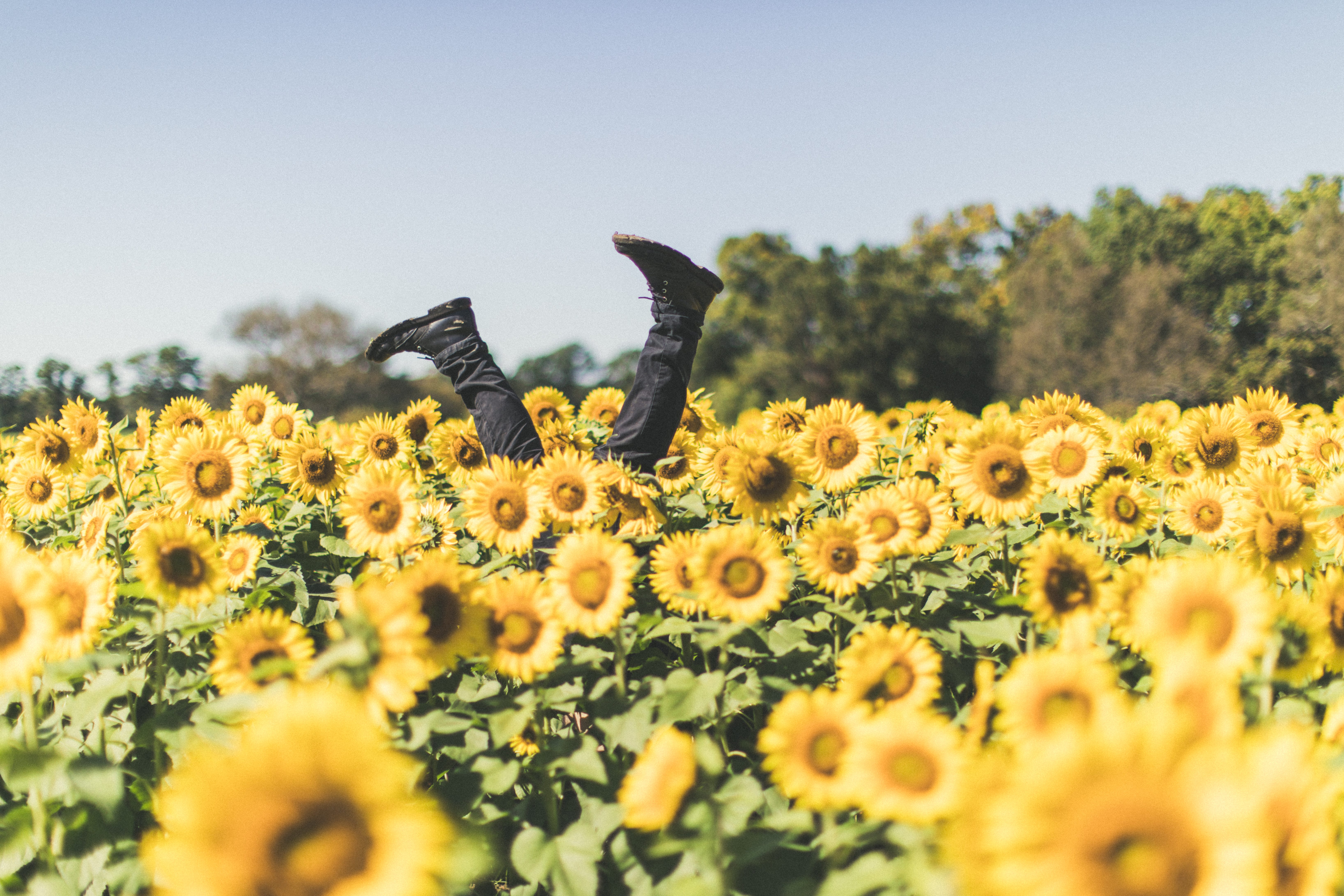 Working Your Way Out Of Nihilism Finding Meaning In Life By Tonatiuh Rodriguez Medium