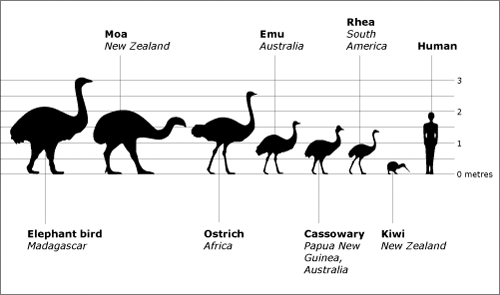 New Zealand S Tech Scene Is Hotter Than Yours By Tristan Pollock Medium