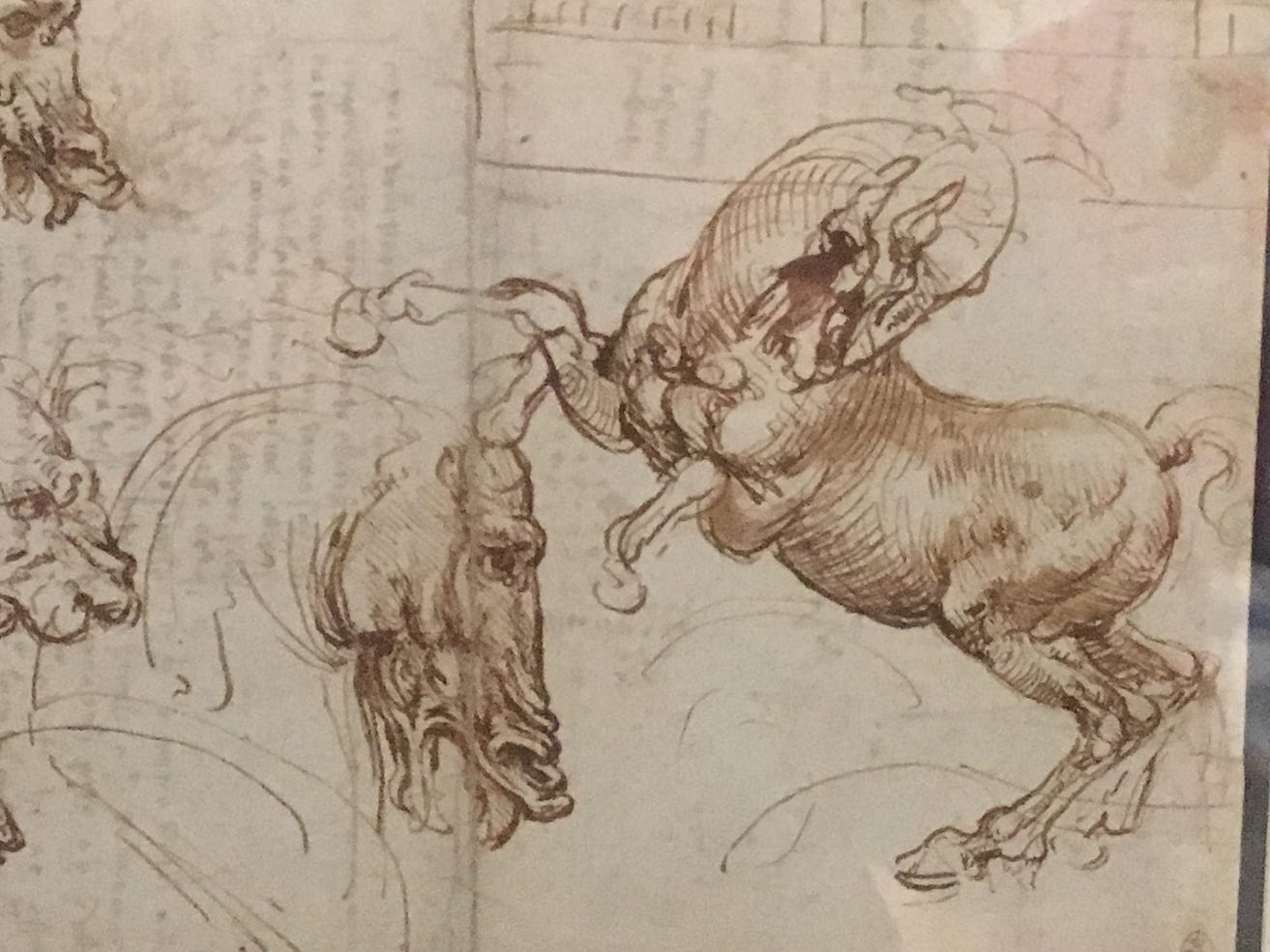 The Polymath Procrastinator Who Shot Ya By Louis Medium The Polymath Procrastinator Who Shot Ya By Louis Medium