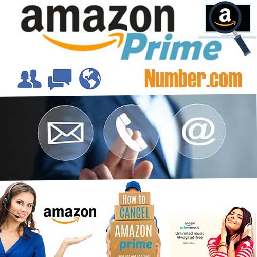 How Do You Contact Amazon Prime Customer Service By Sophia Mary Medium