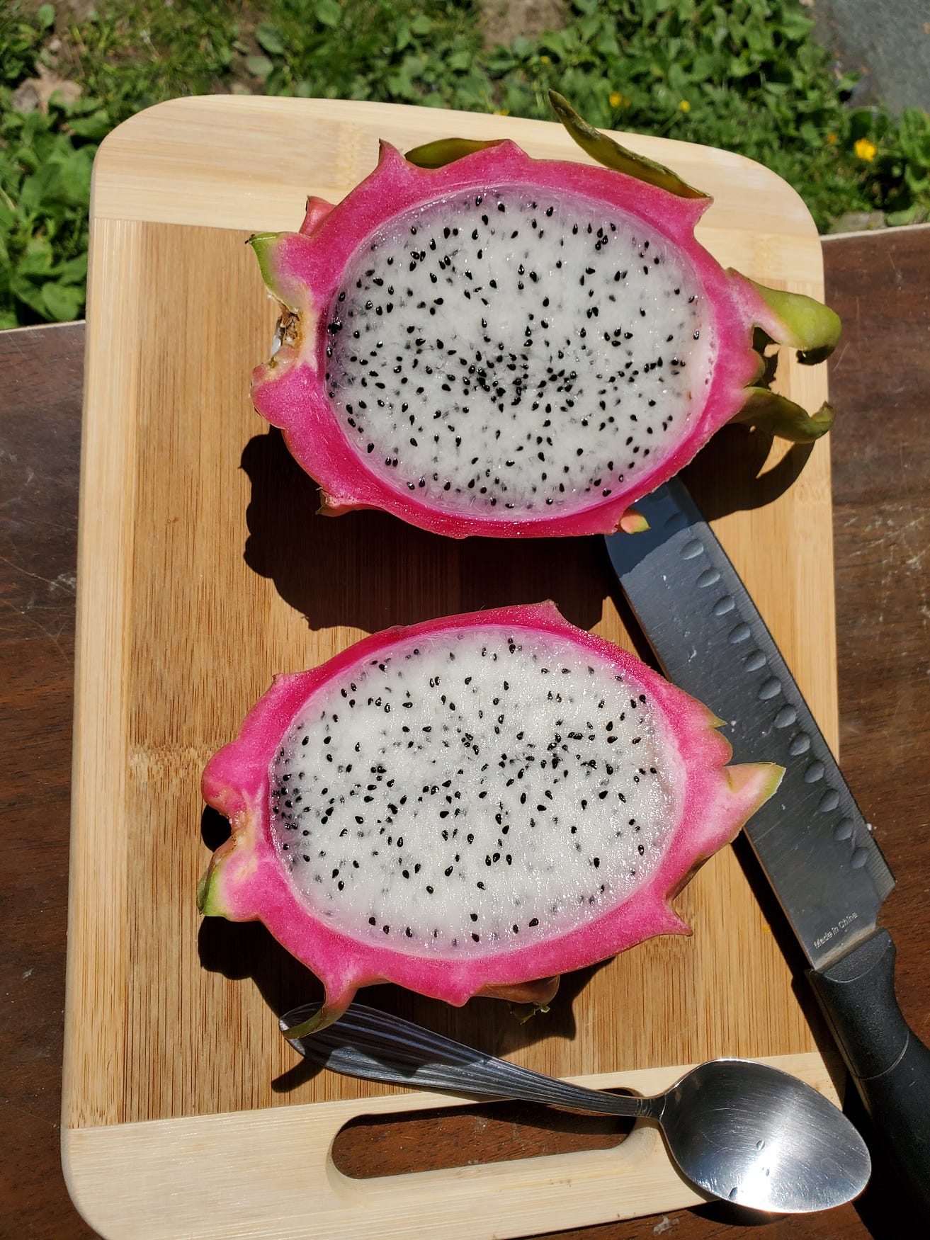 Dragon Fruit An Adventure By Princess Carrie Graham Woodworkers Of The World Unite May 2021 Medium