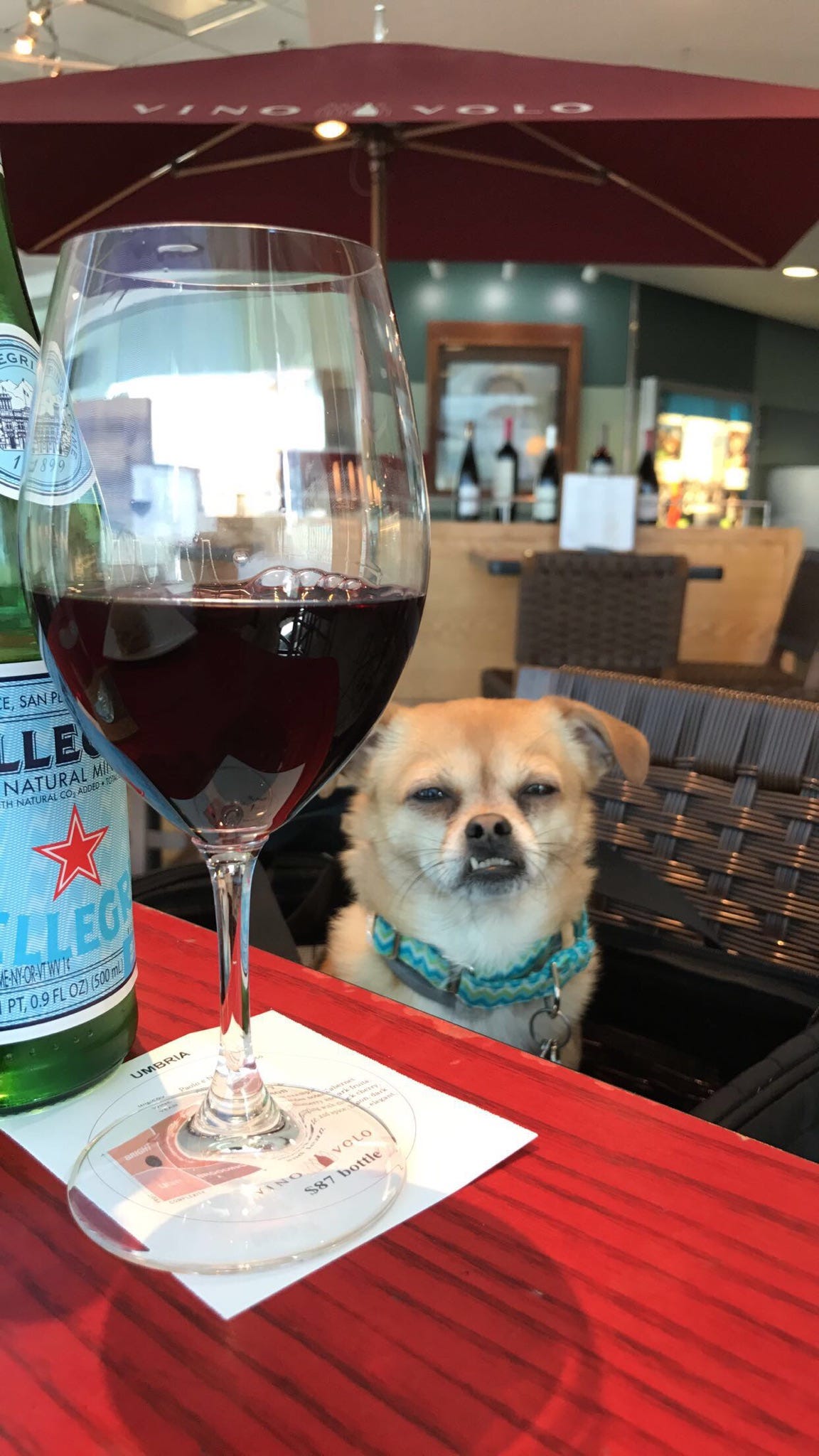 5 Wine Terms You Should Know With Every Serving Shift I Have Ever By Lauren Volper Medium