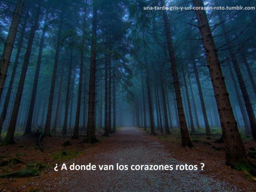 A Donde Van Los Corazones Rotos Damaris Sanchez Bastida Medium