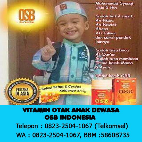 Rahasia Otak Cerdas Wa 0823 2504 1067 Jual Obat Otak