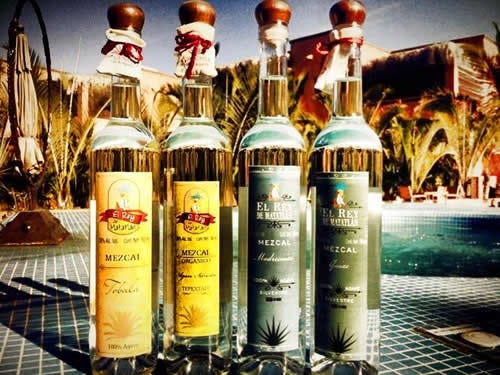 Resultado de imagen para la bendita tradición de tomar Mezcal en Oaxaca