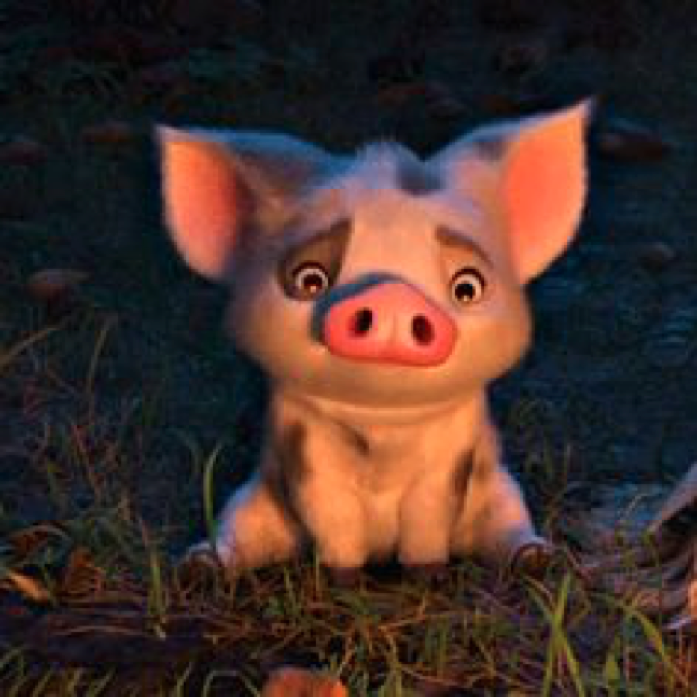Why The Pig In Moana Stayed Behind 9 Conspiracy Theories By Daniel L Cinenation Medium