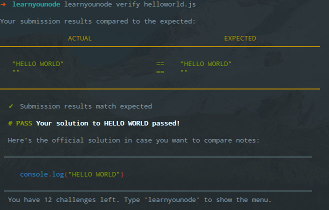 learnyounode verify progrma.js