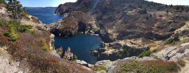 Cuckolds Cove, St. John's NL