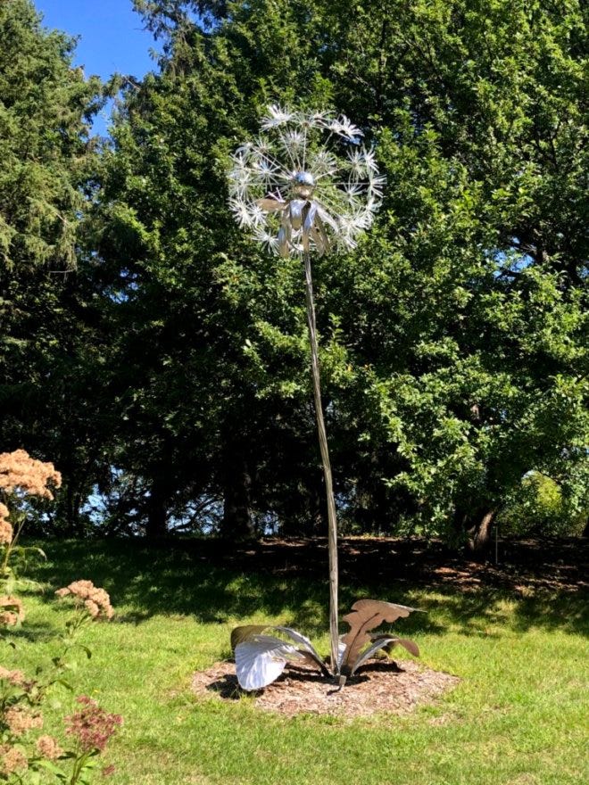 The Grass is Greener After Rain. Photo essay for the first week in