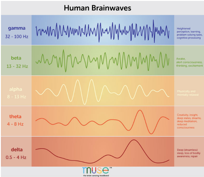 Brainwave states and how you can utilize them to transform your life | by  Alexandra Zuber | Medium