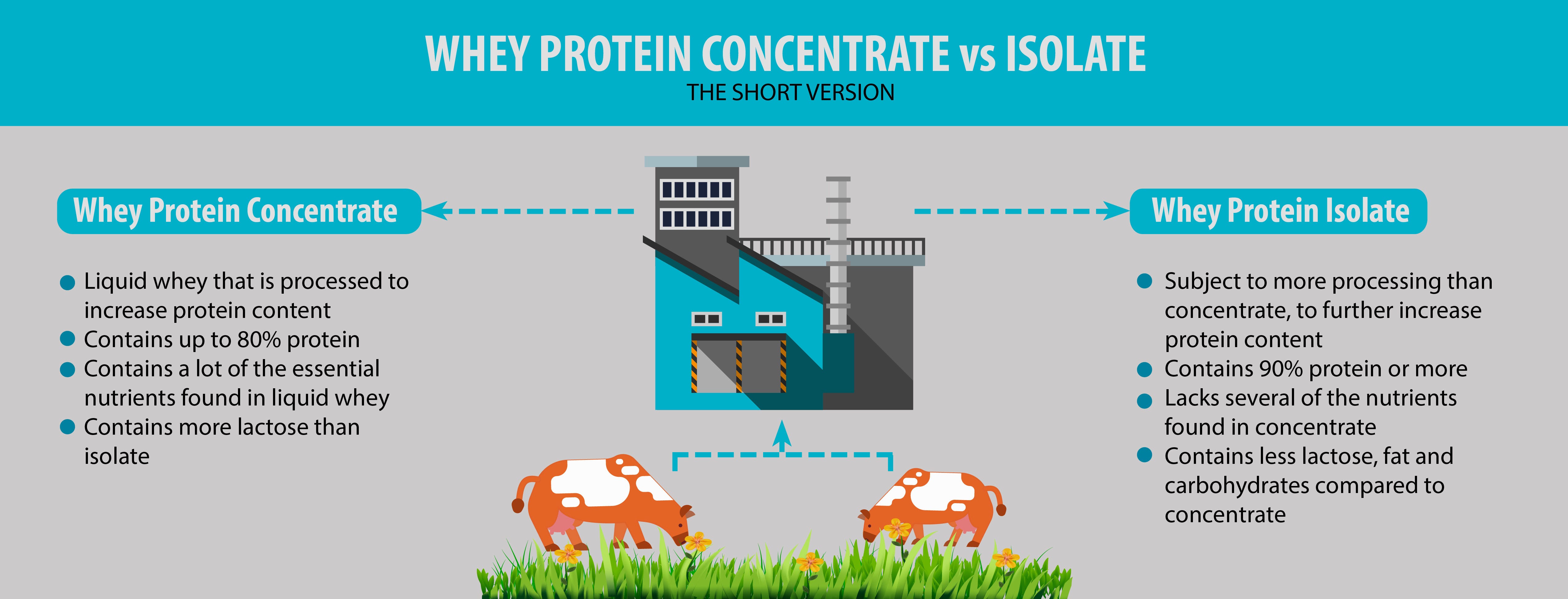 Whey Concentrate Vs Isolate Renew Physical Therapy