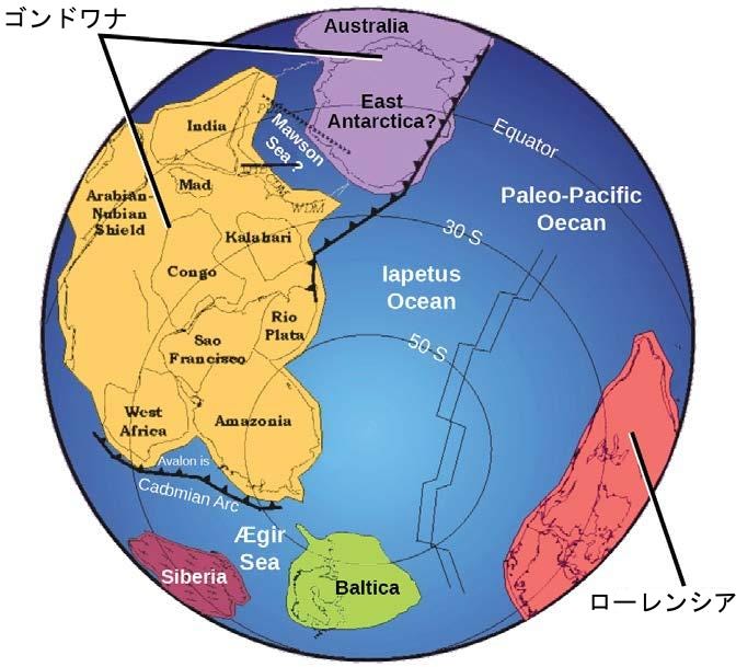生物学 第2版 第29章 脊椎動物 Japanese Translation Of Biology 2e By Better Late Than Never Medium 生物学 第2版 第29章 脊椎動物 Japanese Translation Of Biology 2e By Better Late Than Never Medium