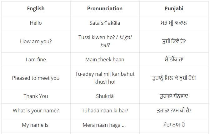 meaning of presentation in punjabi