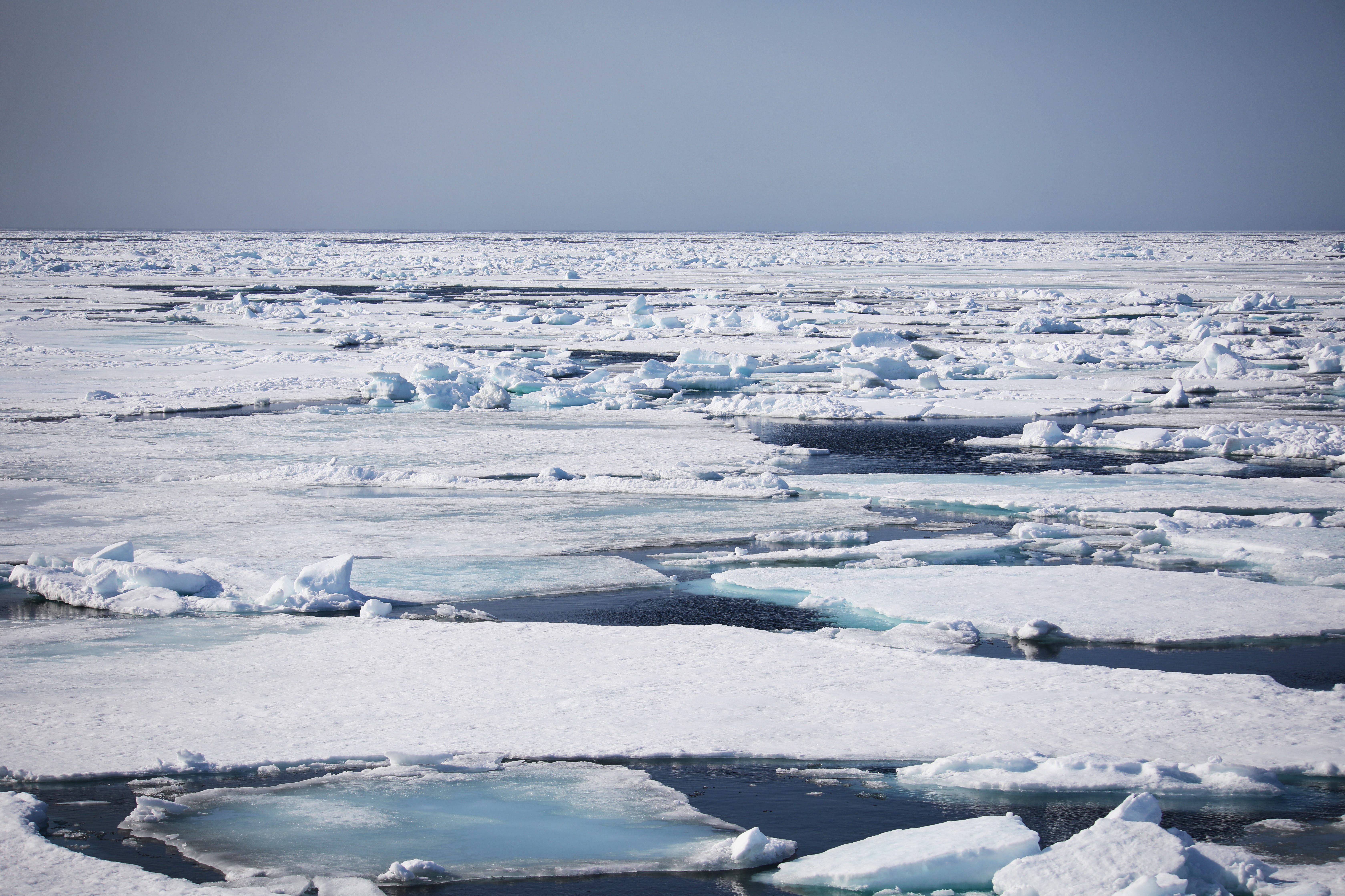 The Arctic — Mesmerizing, Magical, Melting | by Anna Mascaro | Medium