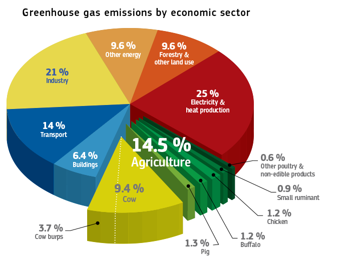 Can we make cow burps climatefriendly? by Steve Gillman Medium