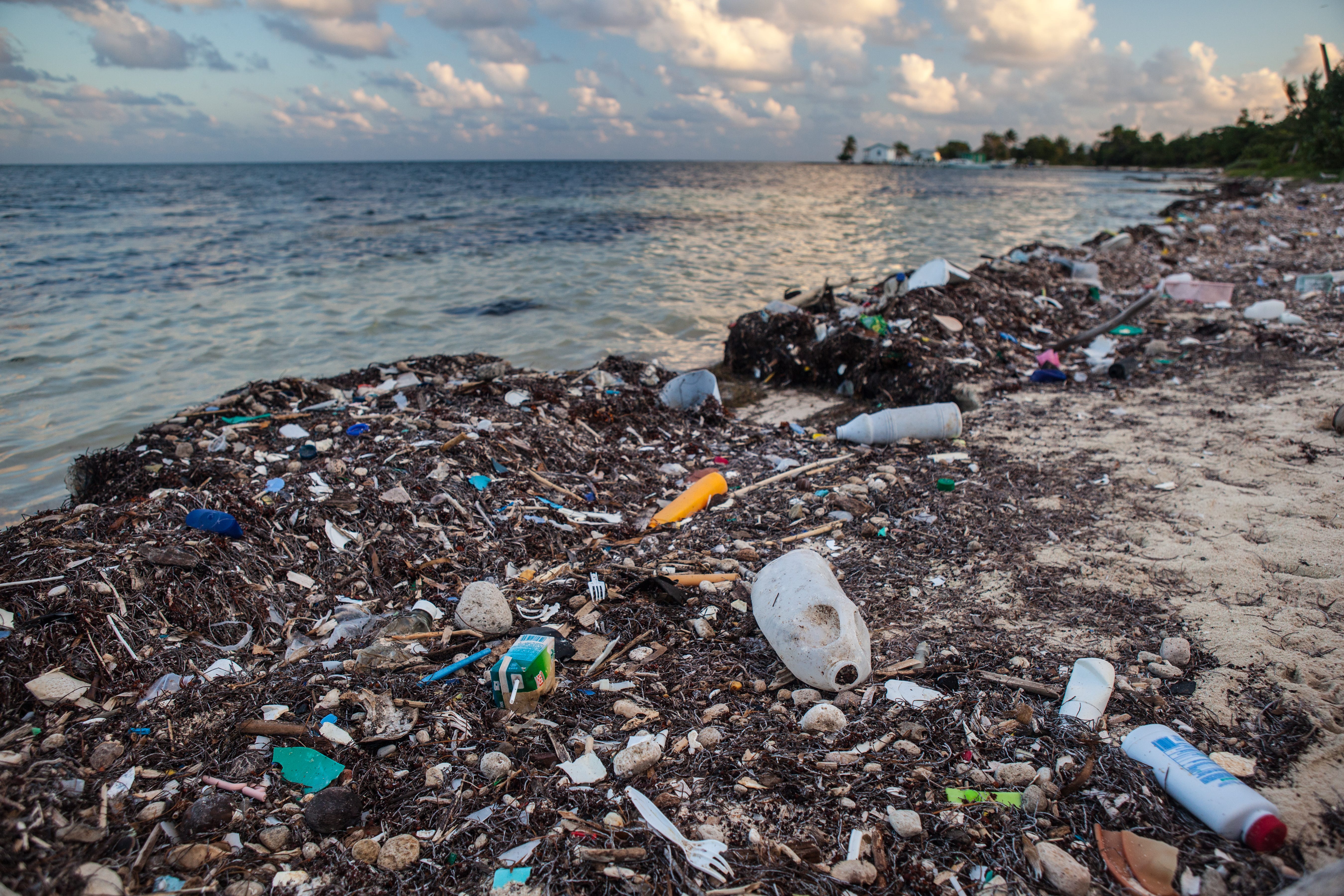 Beach with plastic garbage