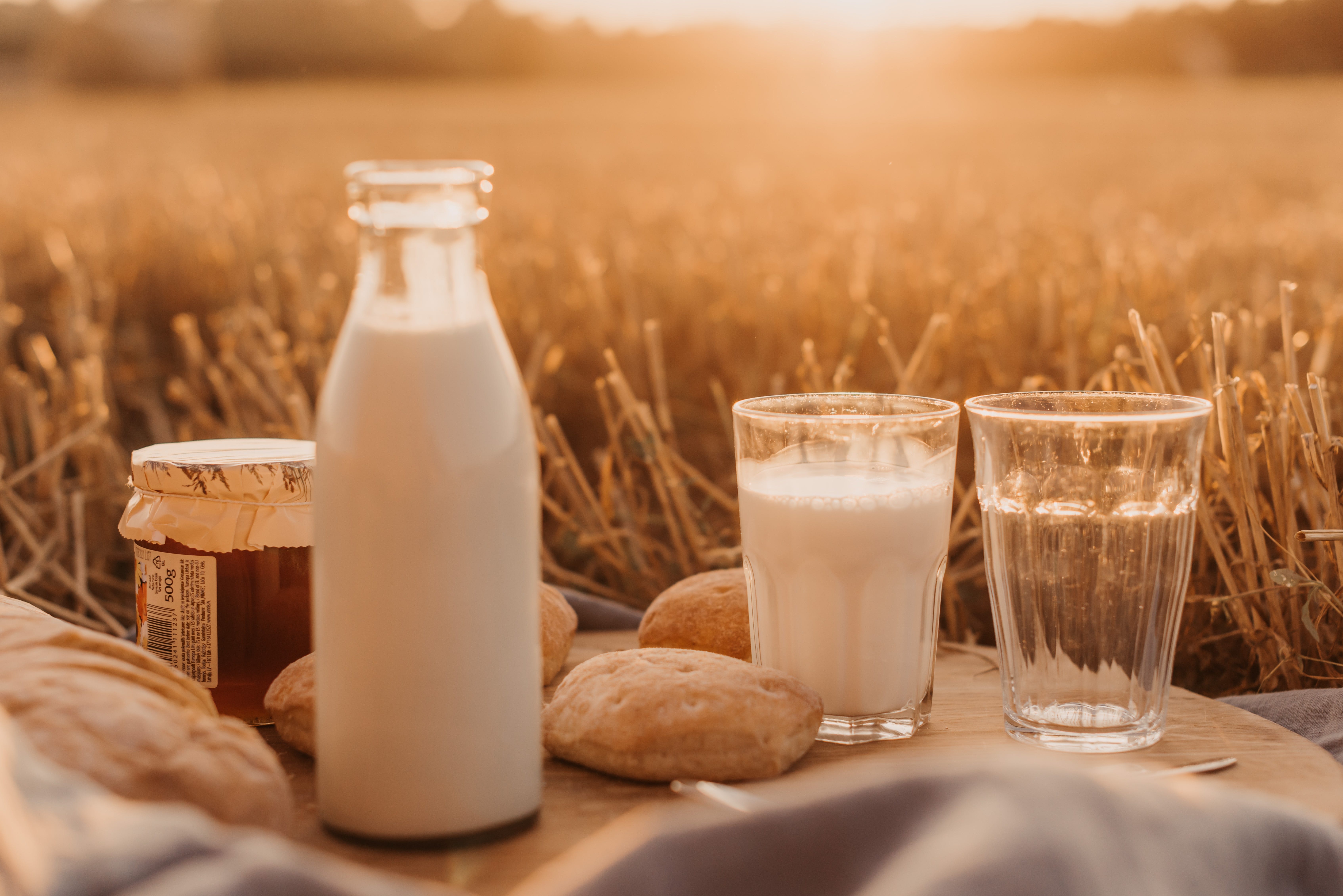 Surprising Uses For Sour Raw Milk By Emily Tennison Medium