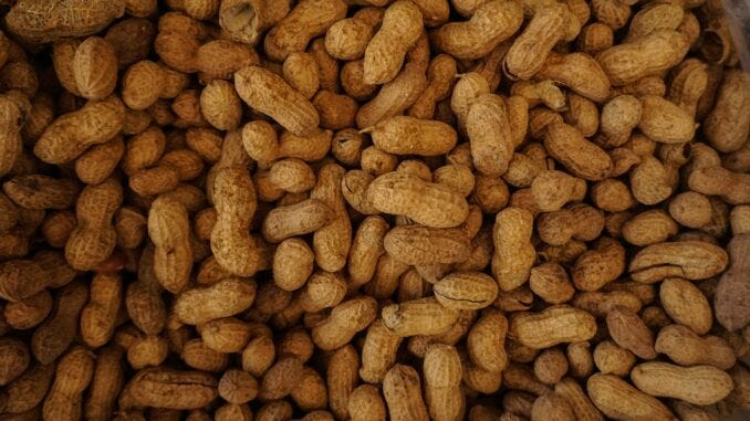 Peanuts are good for you. Health benefits of peanuts. Side effects of peanuts. Peanut allergy. Allergic to peanuts.